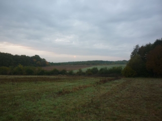 MEZIERES LEZ CLERY ET LA BUTTE DES ELUS-loiret