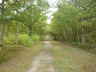 ORMES - ETANG DE LA CANAUDIERE - 10 KMS-loiret
