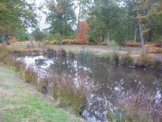 ORMES - ETANG DE LA CANAUDIERE - 10 KMS-loiret