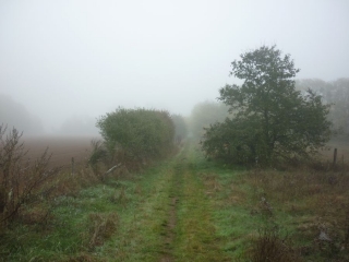 CHAINGY - DE FOURNEAUX A BELLE CROIX-loiret