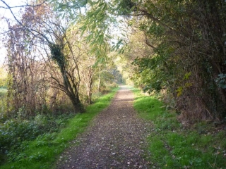LA CHAPELLE SAINT MESMIN - ENTRE LOIRE ET AGGLOMERATION-loiret