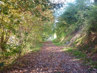 LA CHAPELLE SAINT MESMIN - ENTRE LOIRE ET AGGLOMERATION-loiret