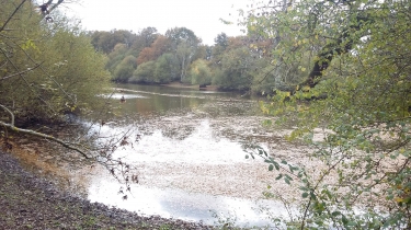 SAINT-FLORENT ET SES ALENTOURS-loiret