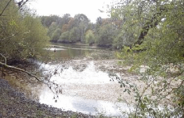 SAINT-FLORENT ET SES ALENTOURS-loiret