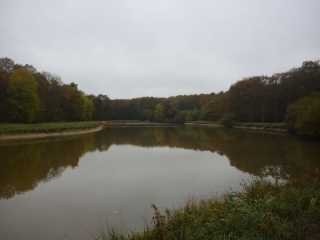 SARAN - RANDONNEE DE LA RETREVE-loiret