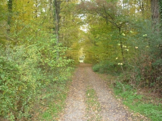 CLERY-SAINT-ANDRE - RANDONNEE DE LA BASILIQUE-loiret
