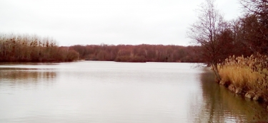 PR DE LA PERONNERIE - VARIANTE DE LA MARTINIQUE-loiret
