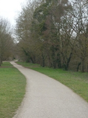 ILE CHARLEMAGNE - BALADE DETENTE-loiret