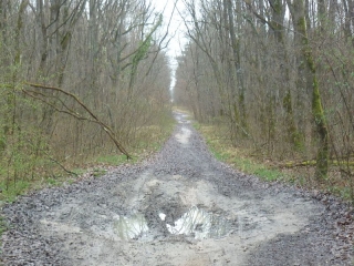 SEMOY - A TRAVERS BOIS-loiret