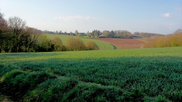 BALADE A TRIGUERES -loiret