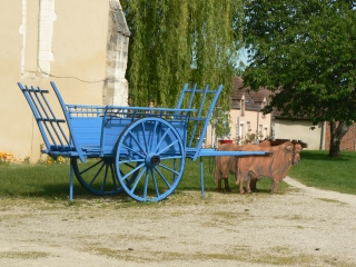 VILLEMURLIN - LES ECHELLES BLEUES-loiret