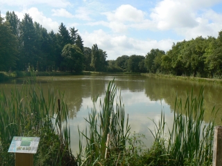 VILLEMURLIN - LES ECHELLES BLEUES (SUITE)-loiret