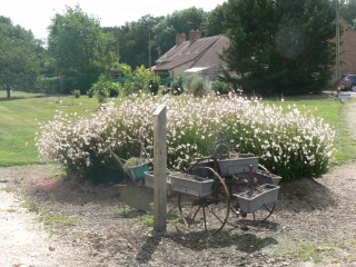 VILLEMURLIN - LES ECHELLES BLEUES (SUITE)-loiret