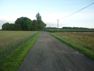 MARIGNY-LES-USAGES - ENTRE BOIS ET CHAMPS-loiret