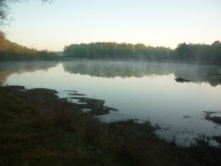 LIGNY-LE-RIBAULT - RANDONNEE DANS LES BOIS-loiret