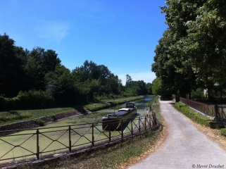 ETANG DE MORCHE-loiret