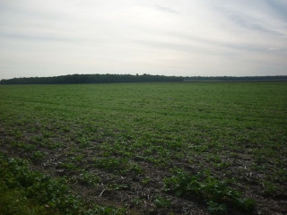 GEMIGNY - ENTRE BOIS ET CHAMPS-loiret