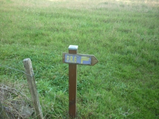 PR 6 - CHANTEAU - BALADE DU CHENE DE L EVANGILE-loiret