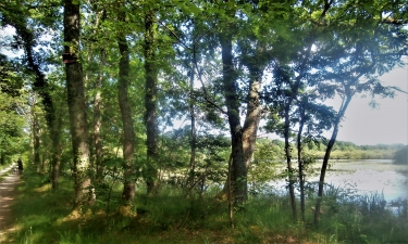 LE PAPILLON - CIRCUIT VIOLET-loiret