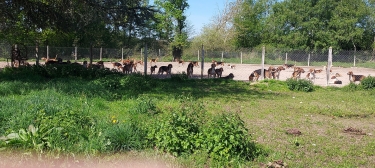 ETANG DE LA VALLEE-loiret