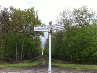 LE TUMULUS - PUITS DE L ENFER-loiret