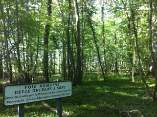 ANCIENNE VOIE ROMAINE-loiret