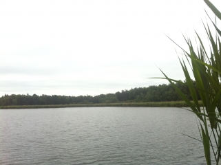 PR DE NONFOURCHE-loiret