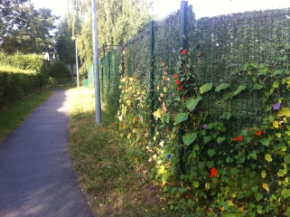 LES LAC ET LES VENELLES-loiret