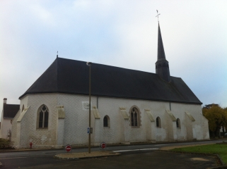 CHENE DE L EVANGILE-loiret