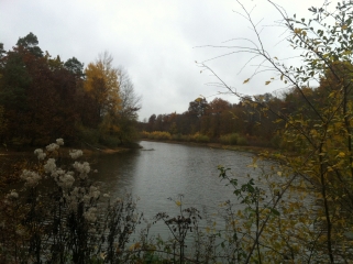 VALLEE DU DIABLE-loiret