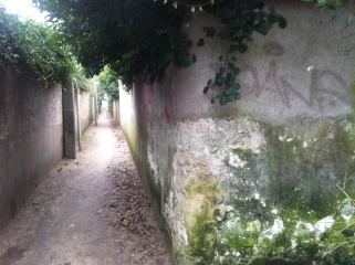 ST-JEAN-DE-BRAYE-loiret