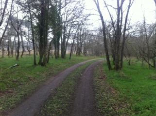 MOULIN DE COURPAIN-loiret