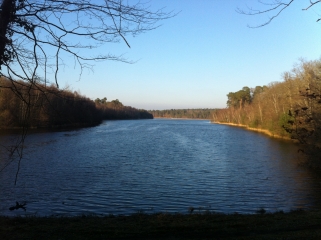 ETANG DU RAVOIR-loiret