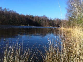 ETANG DU RAVOIR-loiret