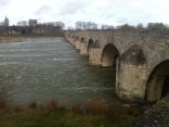 LES ACCRUAUX A BEAUGENCY-loiret