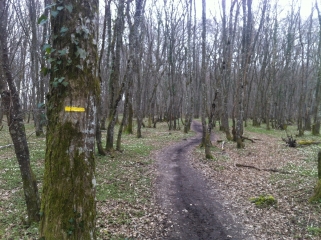 SARAN - PR DE CHOPIN-loiret