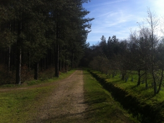 LE MORCHENE ET SON CHATEAU-loiret