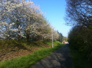 FLEURY-LES-AUBRAIS-loiret