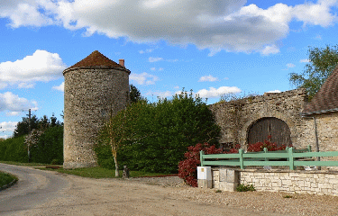 FAY-AUX-LOGES - FORET D ORLEANS ET SES ETANGS-loiret