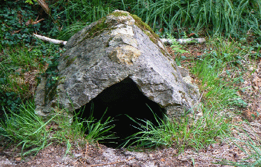 MAQUIS-DE-LORRIS-loiret