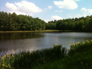 DE SURY A VITRY PAR LE CANAL ET LES ETANGS-loiret