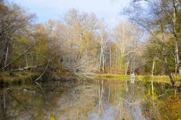 SENTIER DES SOURCES-loiret