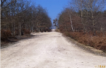 SENTIER DES BOIS BEZARD-loiret