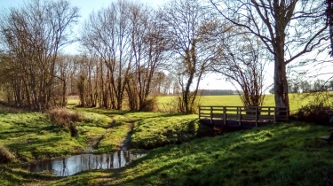 PR DU MILLERON-loiret