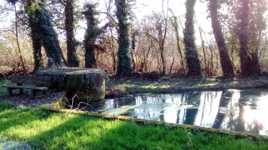 PR DU MILLERON-loiret