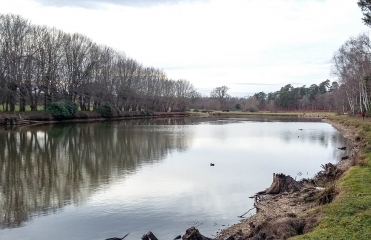 DAMPIERRE-EN-BURLY-loiret