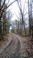 DAMPIERRE-EN-BURLY-loiret