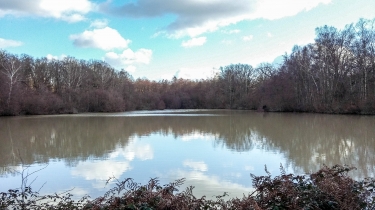 SAINT-AIGNAN-LE-JAILLARD-loiret