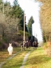 SAINT-AIGNAN-LE-JAILLARD-loiret