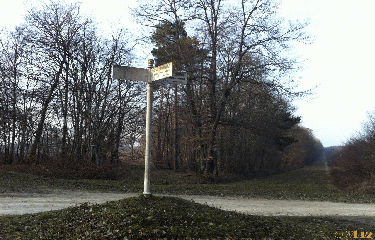 PR DU CHATEAU DE CHAMEROLLES-loiret